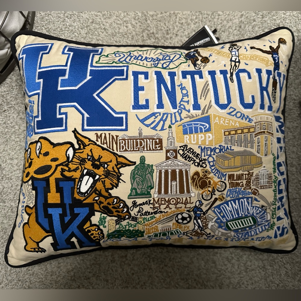 Catsudio Kentucky wildcats pillow